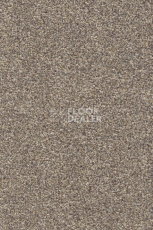 Ковролин AW Stainguard Harvest 47 фото 1 | FLOORDEALER